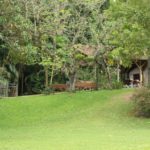 Camping Parque Natural Morro Azul – Timbo – SC-6