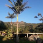 Camping Refúgio Pedra Aguda-bom Jardim-RJ-5