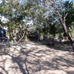 Camping Refúgio e Raíz – Carolina-MA-3