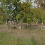 Camping Rural Cassino-Rio Grande-RS-1