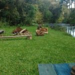 Camping Sitio Terras do Sul – Urubici-SC 3