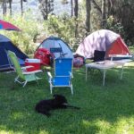 Camping Sitio Terras do Sul – Urubici-SC 7