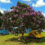 Camping da Ponte – Carrancas – MG 13