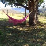 Camping das Mangueiras-Vargem Bonita-MG-6