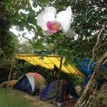 Camping das Pitangas – Praia do Sono-rj-15