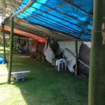 Camping das Pitangas – Praia do Sono-rj-6