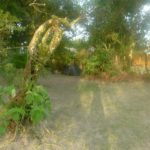 Camping do PAcheco-Superagui-PR 4