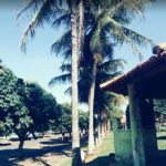 Camping municipal Praia do Torres-sales-sp-3