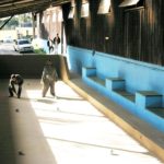 Cancha de bocha