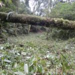 Diversos obstáculos tornando a trilha mais divertida