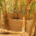 Eco Camping Flor da Moringa-Aracati-CE-3