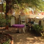 Eco Camping Flor da Moringa-Aracati-CE-6