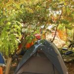 Eco Camping Flor da Moringa-Aracati-CE-7