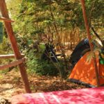 Eco Camping Flor da Moringa-Aracati-CE-8