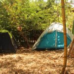 Eco Camping Flor da Moringa-Aracati-CE-9