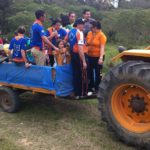 Passeios de trator