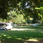 Reduza Camping-Piuma-ES-6