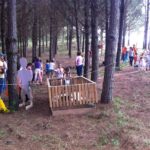 Trilha toda arborizada