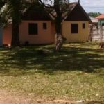 Turis camping-tramandaí-sc-2