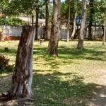 Turis camping-tramandaí-sc-3