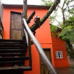 camping Floripa Surf Camp-Florianópolis-SC-27