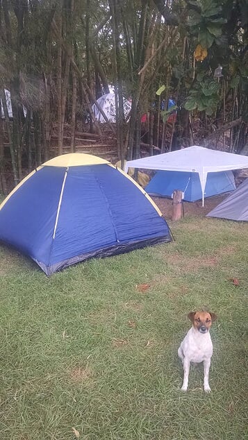 camping Floripa Surf Camp-Florianópolis-SC-7
