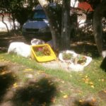 camping candango-Florianópolis-SC -1