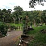 camping cobra d’água-Pinhão-PR-6