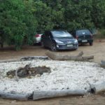 camping comunidade kalunga-cavalvante-go 9