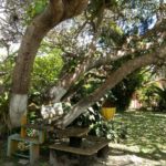 camping da iraci-yaya-cabrália-BA-1
