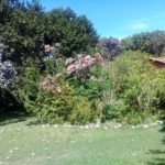 camping da iraci-yaya-cabrália-BA-10