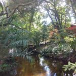 camping da iraci-yaya-cabrália-BA-2