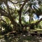 camping da iraci-yaya-cabrália-BA-3