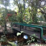 camping da iraci-yaya-cabrália-BA-4