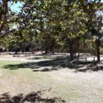 camping daniel-terra ronca-sao domingos-go-3