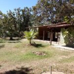 camping daniel-terra ronca-sao domingos-go-4