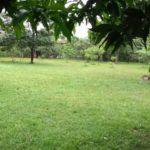 camping do ademar-milho verde-mg-7
