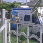 camping do sonho-palhoca-sc-3