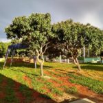 camping do waldomiro-chapada dos veadeiros-go-17