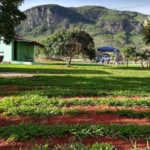 camping do waldomiro-chapada dos veadeiros-go-20