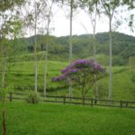 camping fazenda bethary-petar-sp-6