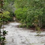 camping kasabaré-manaus-am-5