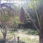 camping lagoa azul-presidente figueiredo-am-3