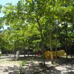 camping lagoa da conceição-florianopolis-sc-2