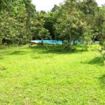 camping luar encantado-mambai-go-24
