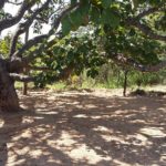 camping luar encantado-mambai-go-9
