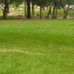 camping municipal ipaussu-sp-7
