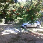 camping o xatiba-cumuruxatiba-ba-7