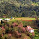 camping pico da caledonis-nova friburgo-rj-6