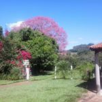 camping pocinho do binga-cassia dos coqueiros-sp-6